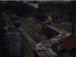 MRSL 3980